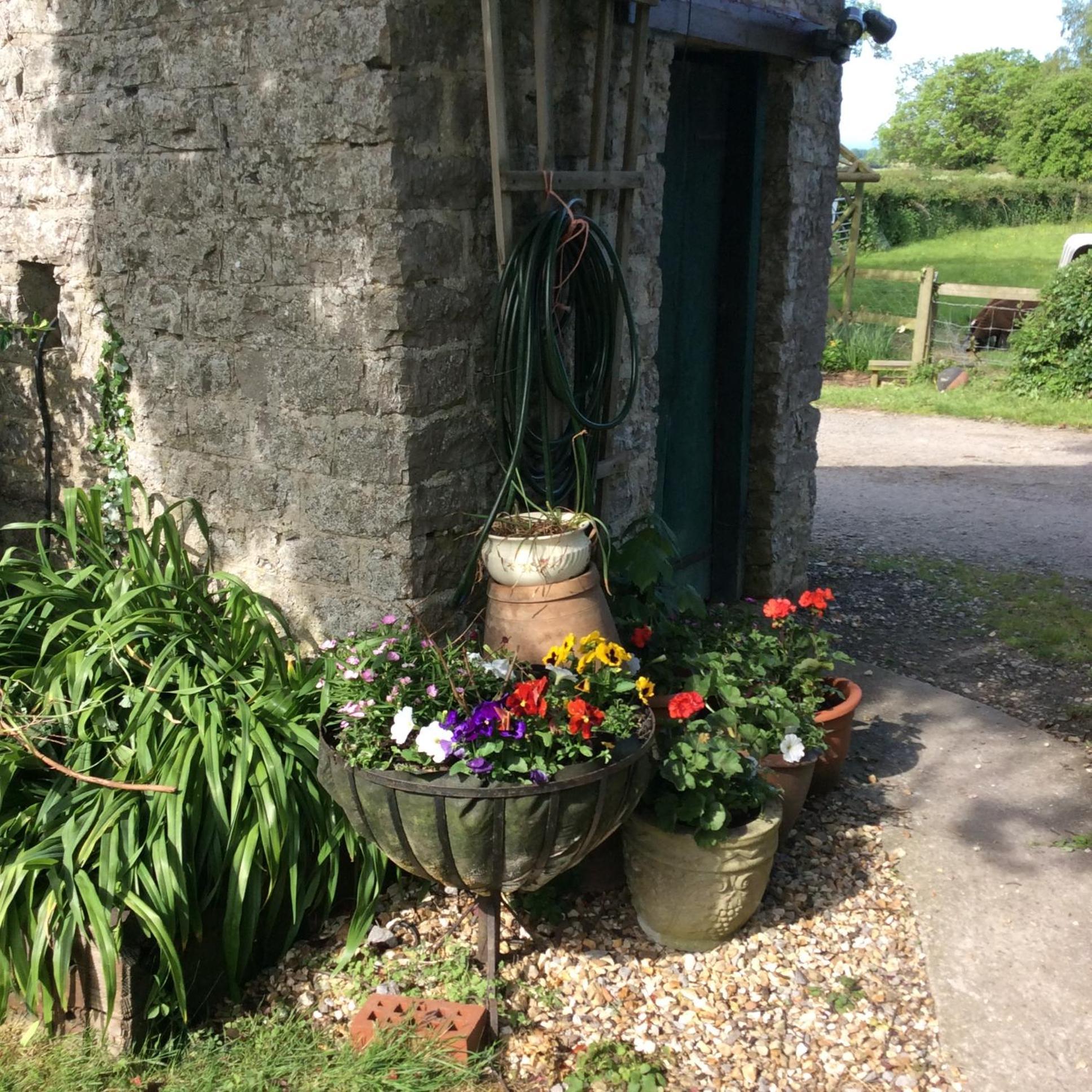 Poplar Farm Bed and Breakfast Wedmore Exterior foto